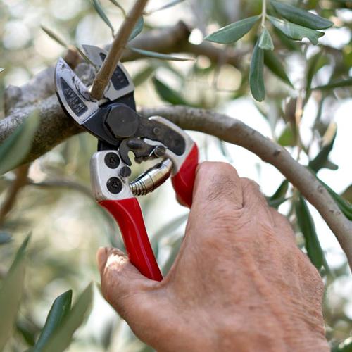 Ψαλίδι κλαδέματος αλουμινίου κεντρικής κοπής Φ28mm λεπίδες από ατσάλι θερμής σφυρηλάτησης Ιταλίας FALKET 2012 EVO